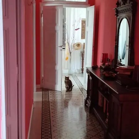 Homestay Stanza In Romantica Casa Romana